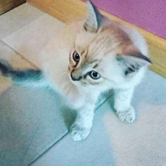  La famiglia si allarga 😂 - 1