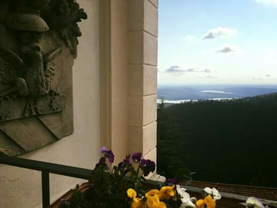 Proposta di matrimonio 💍 - 5