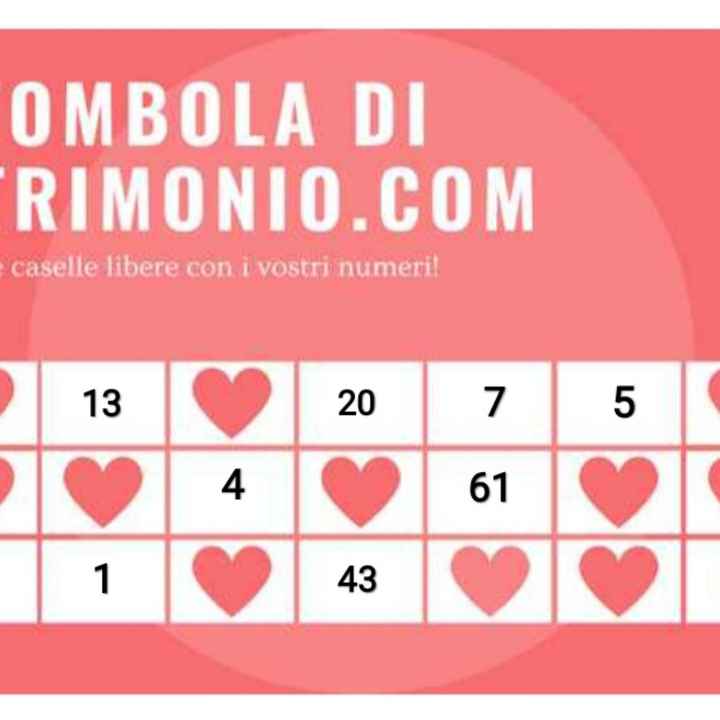 Gioca con i tuoi numeri alla Tombola di Matrimonio.com - 1