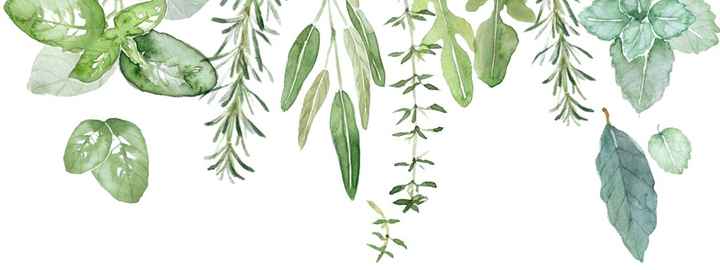 Piante Aromatiche...Il nostro tema