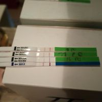 💝🎄🎉🎅🎁chi non le aspetta per dicembre 2019🎅🎁🎉🎄 - 1