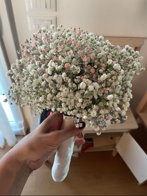 Gypsophila fiori 10