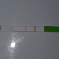 Chi non le aspetta per Marzo 2020 - 2