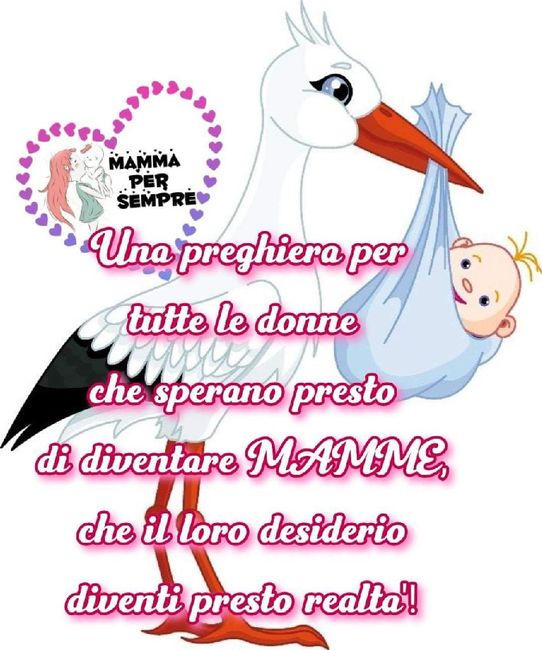 Chi non le aspetta per gennaio 2020 1