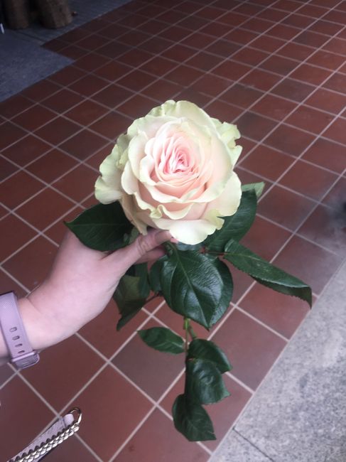 Bouquet e fiori: scelti!! - 3
