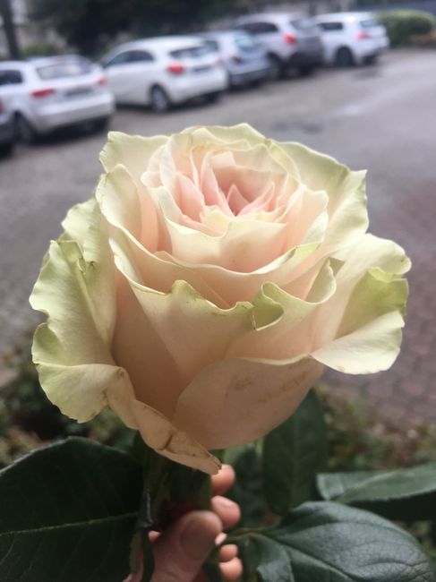 Bouquet e fiori: scelti!! - 4