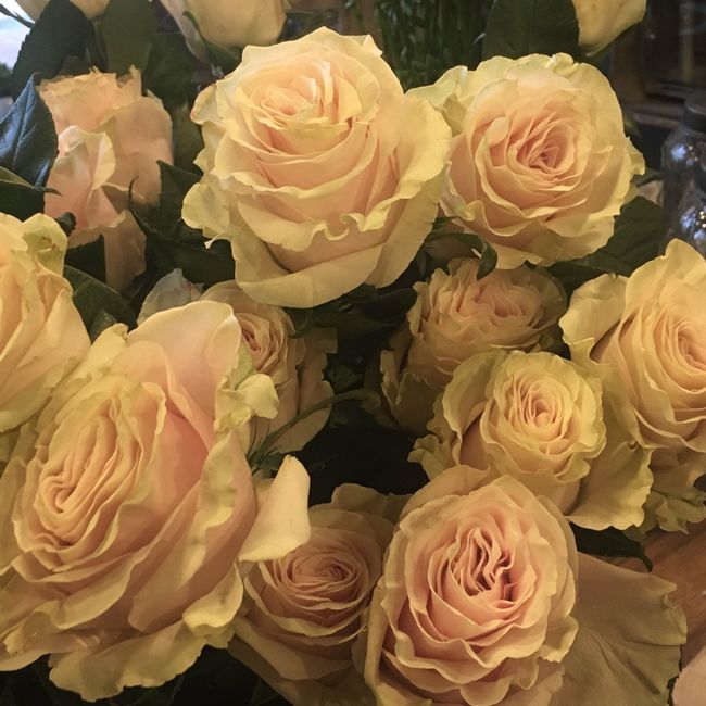 Bouquet e fiori: scelti!! - 5