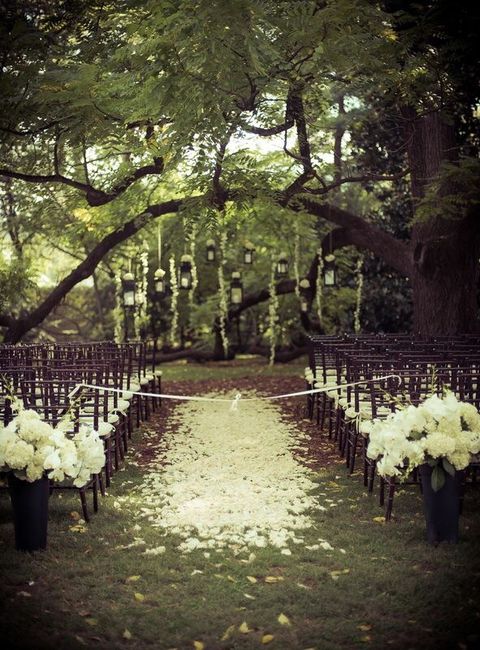 Matrimonio bosco - Alessandria - 1