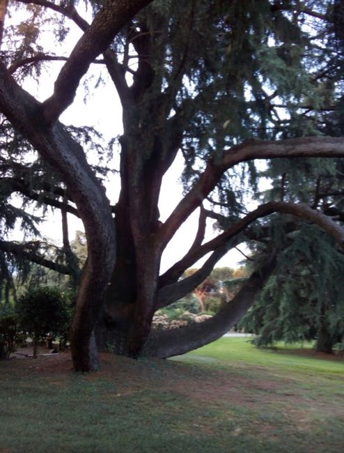 La location dei vostri sogni ❤️ 20