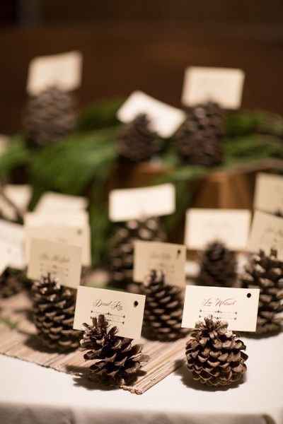 Idee per un matrimonio tema...pigne! - 7