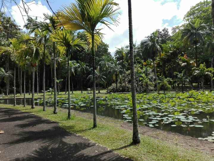  La nostra luna di miele: Mauritius 😍😍 - 17