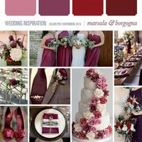Colore Borgogna - 1