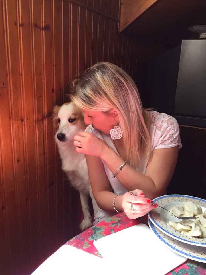 Le foto con i nostri pelosoni - 2