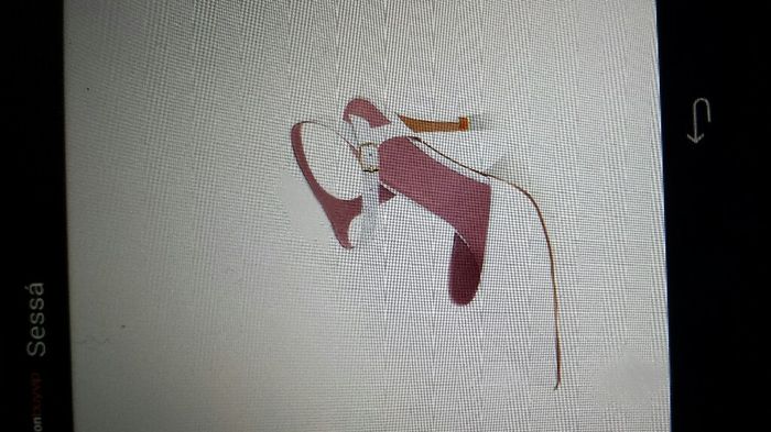 Mi piacciono queste scarpe - 2