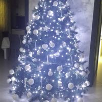 Il nostro primo albero di natale - 3