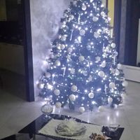 Il nostro primo albero di natale - 4