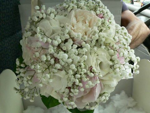  Fiori veri o finti?? - 2