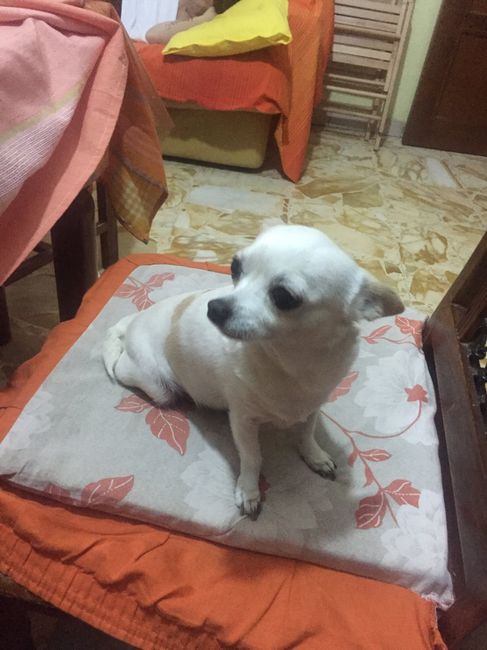 Il più bel regalo ricevuto 💝 - 1