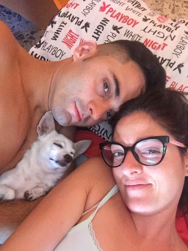  Vivere insieme ad...un animale domestico! - 1