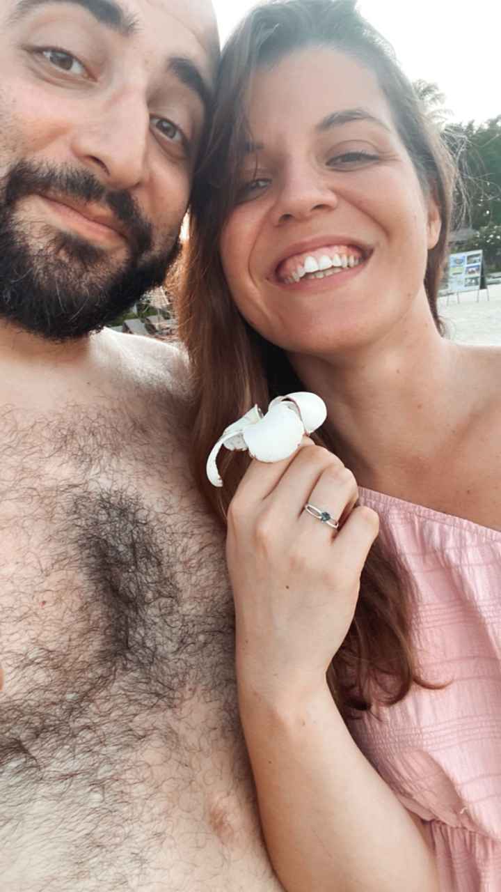 Chi ha fatto la proposta? - 1