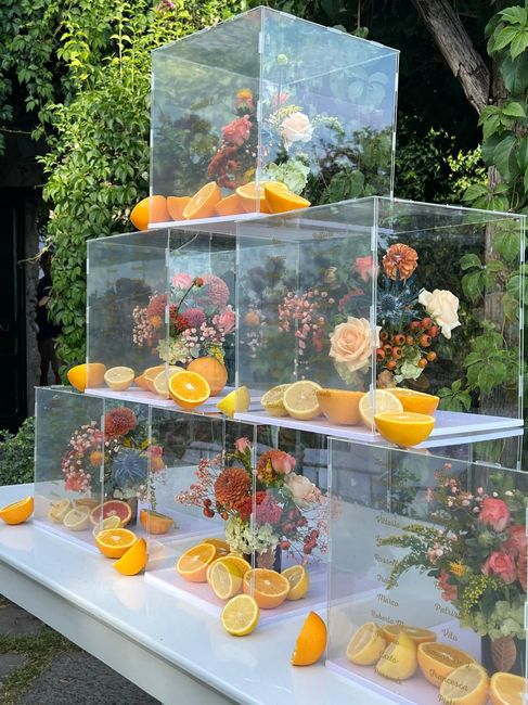 Un matrimonio da Favola 3