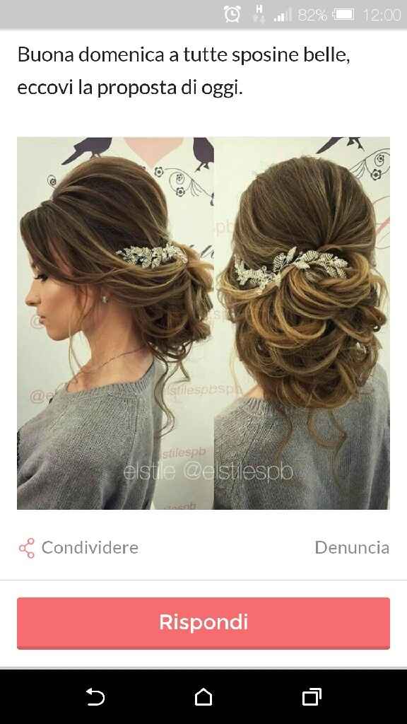 Semi raccolto idee - 1