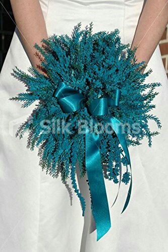 Ed ecco le mie partecipazioni! - 1