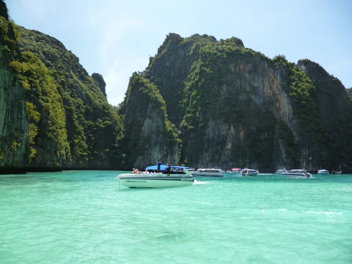 .............................