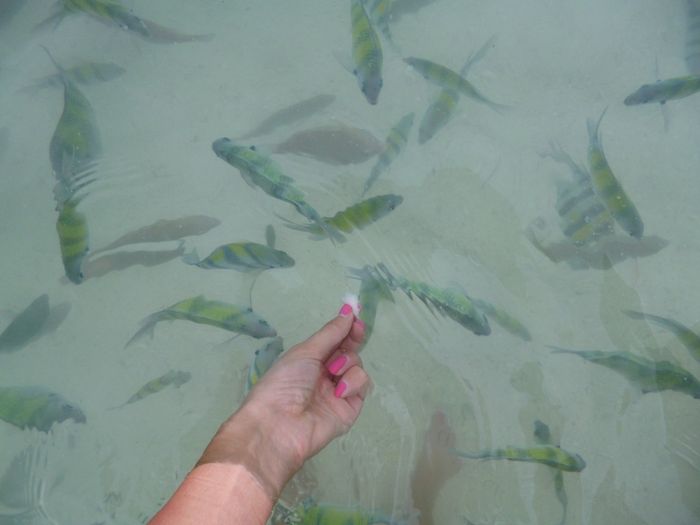 .....................