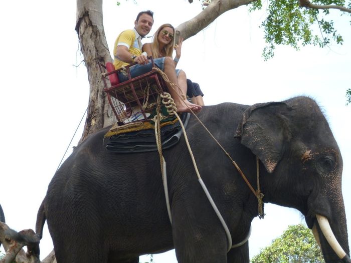 ................................