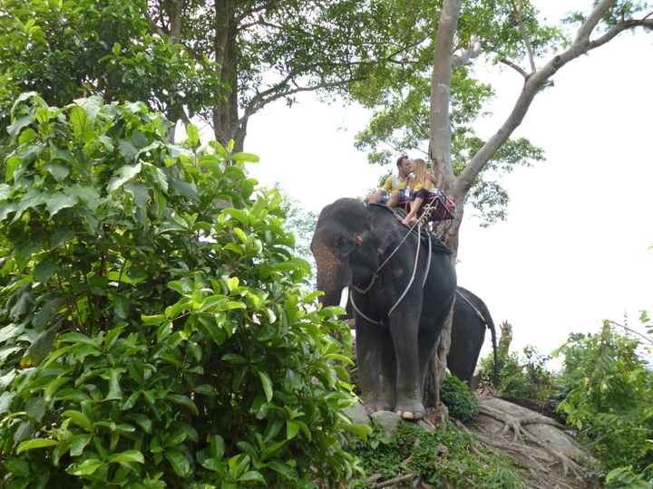 ........................