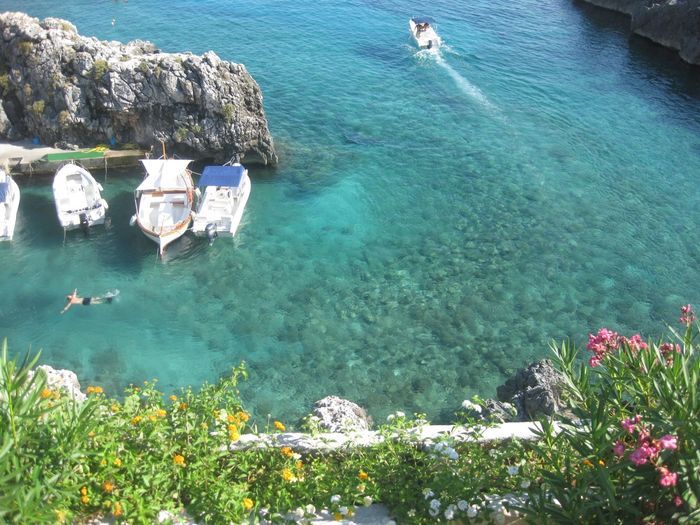 ...........................