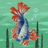Diego