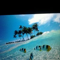 Viaggioo prenotato olee non vedo lora - 1