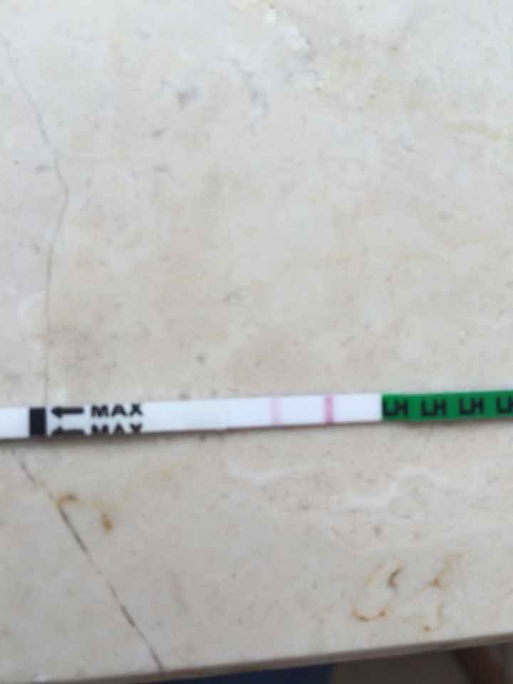 Test ovulazione positivi gallery - 1