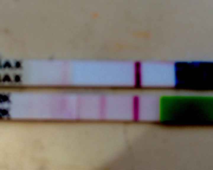 I fantasintomi....maledetti!!!!! - 1