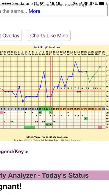 Tb e grafico x chi è alla ricerca.... - 2