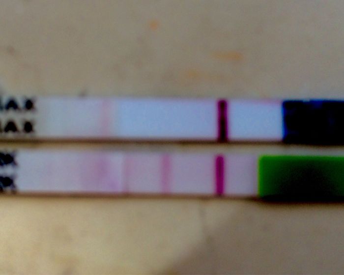 I fantasintomi....maledetti!!!!! - 1