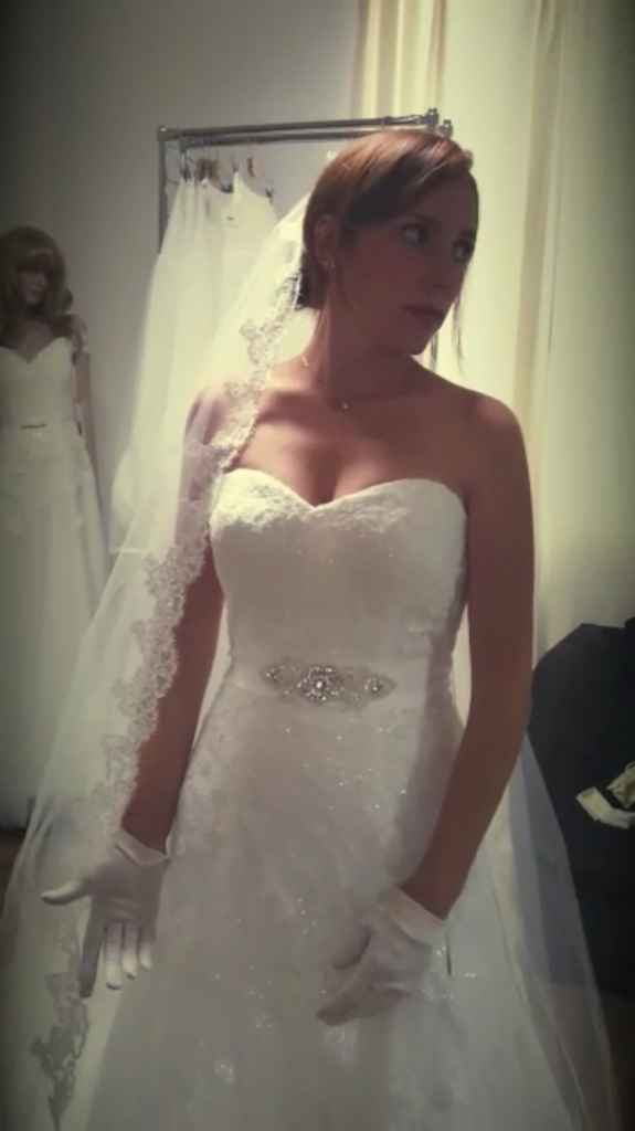 9 settembre 2015 ??il nostro si - 1