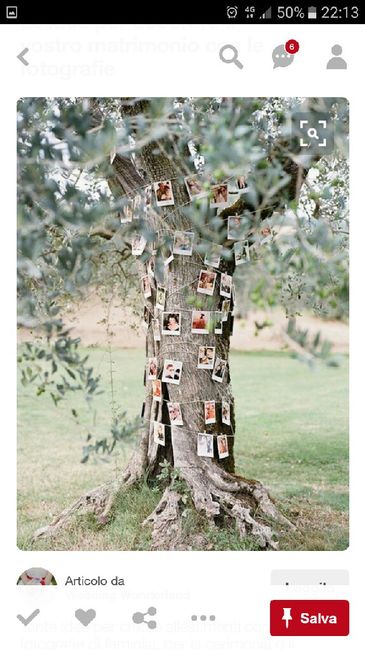 Aiuto decorazione albero villa - 2