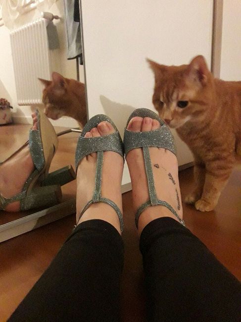 Sono un disastro 😂 - 3