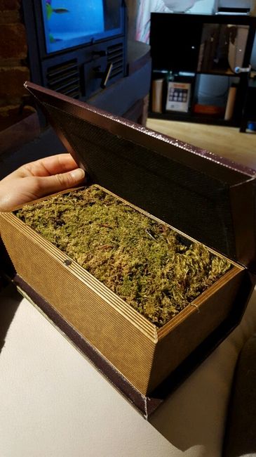 Cuscino portarsi. ....alternativo.... - 1