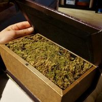 Cuscino portarsi. ....alternativo.... - 1