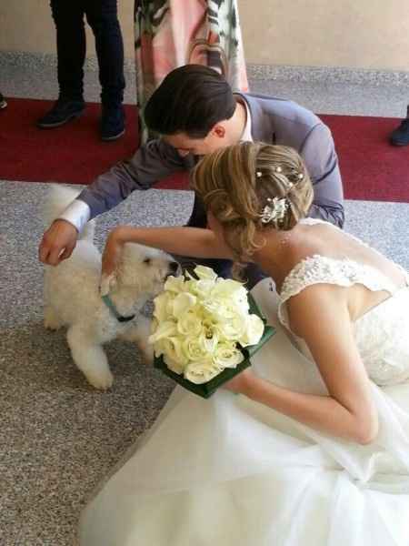 Il nostro Matrimonio