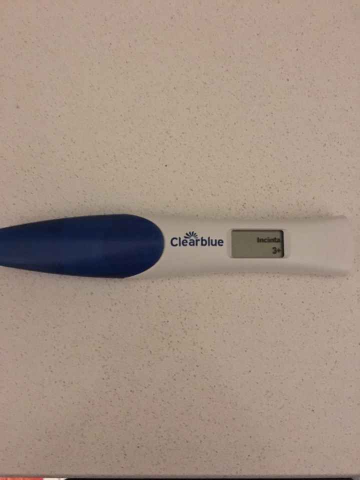 Aspiranti pancine di dicembre - 1