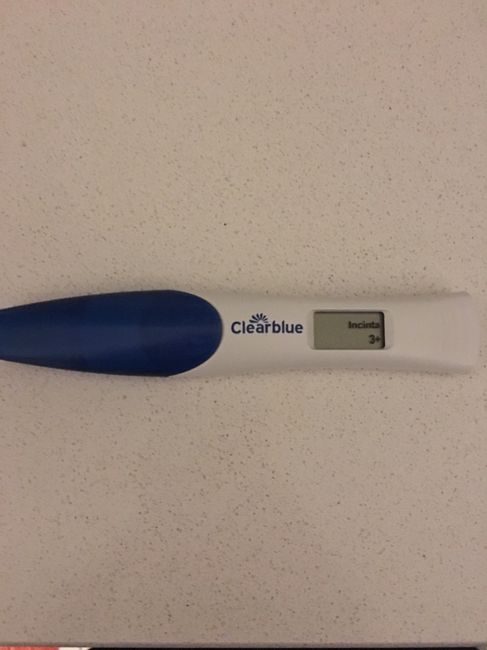 Aspiranti pancine di dicembre - 1