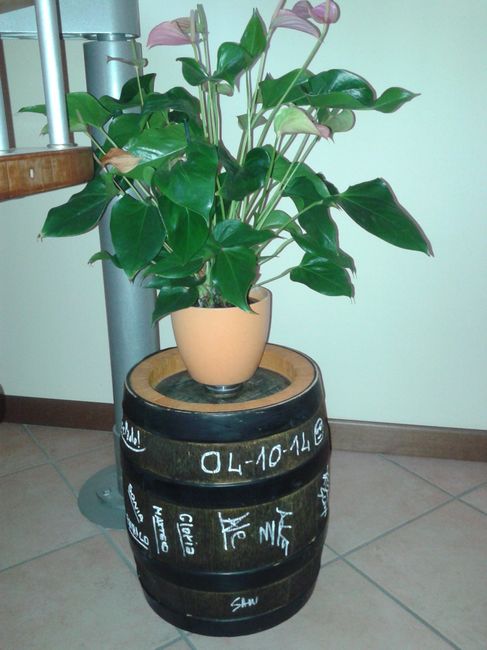 Guest book finito!! - 1