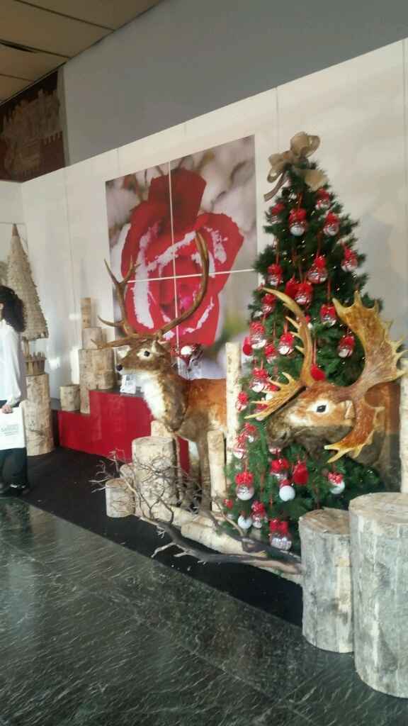 In diretta da roma sposa - 3