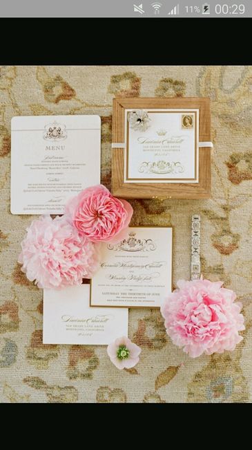 Tema principessa - 16