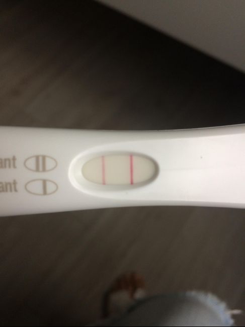 🌺Chi non le aspetta per agosto 🎁🏖️🌞💛💚❤️💝🌻🌷 - 1